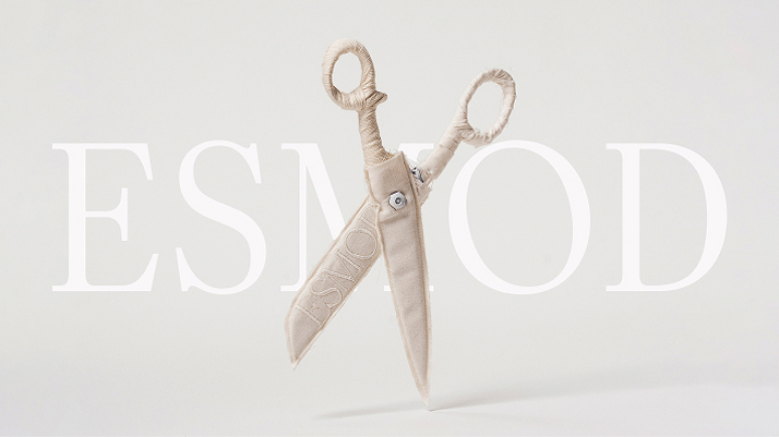 Three Characteristics of ESMOD